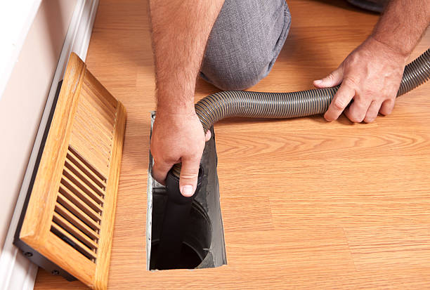 Air Duct Mold Removal in IL